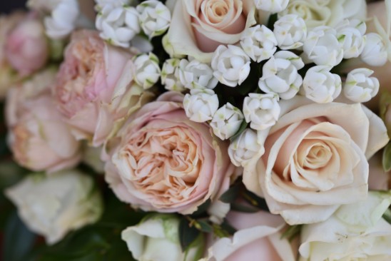 Wedding planner ogliastra